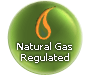 Arkansas deregulated natural gas & electricity providers
