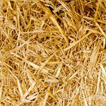 Momentis Energy Review