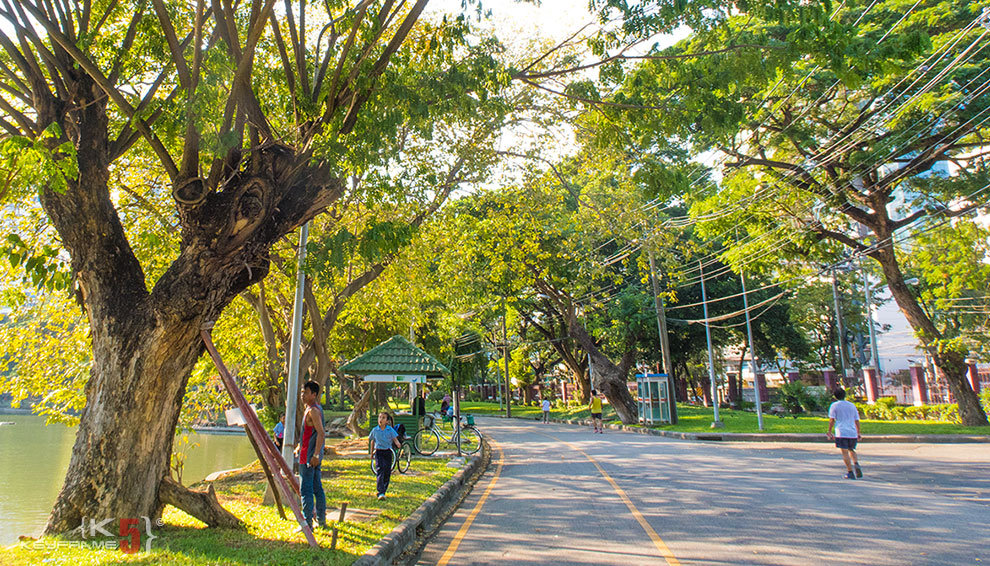 Lumpini Park in Bangkok