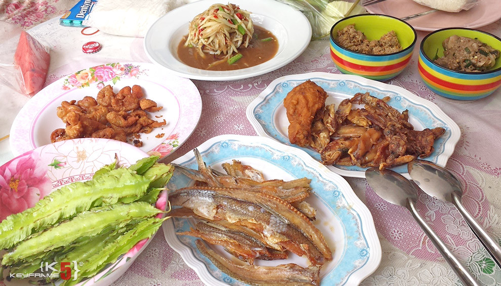 Isan food - ate for free with the locals
