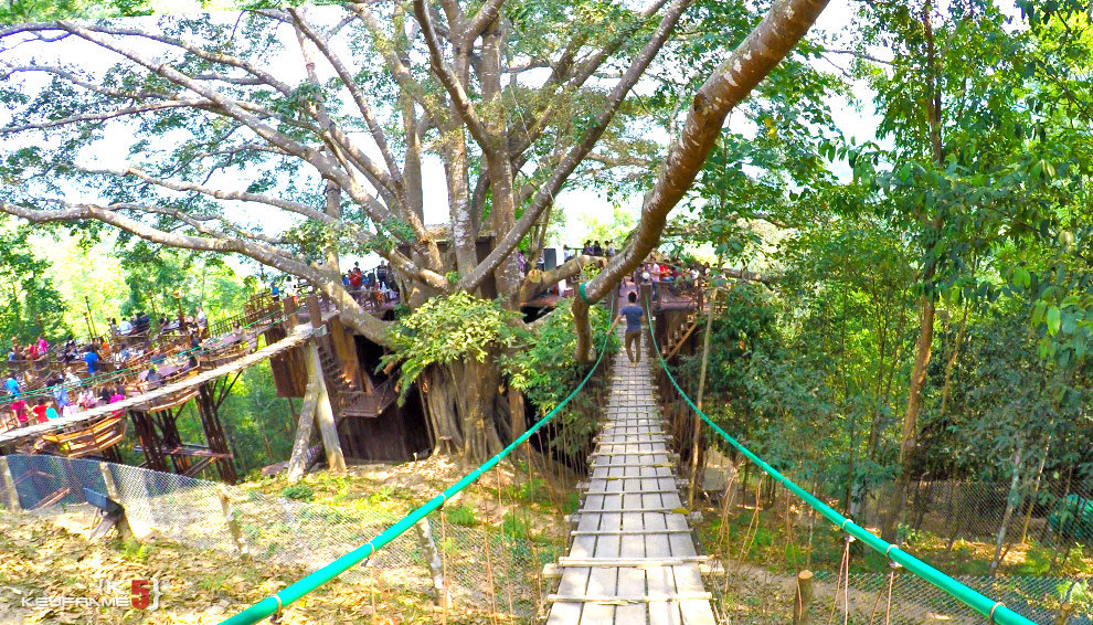 chiang-mai-giant-treehouse